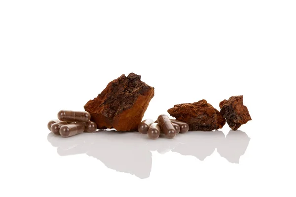 Inonotus obliquus. Fungo di Chaga . — Foto Stock