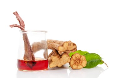 Ayahuasca demlemek cam banisteriopsis caapi ahşap ile.