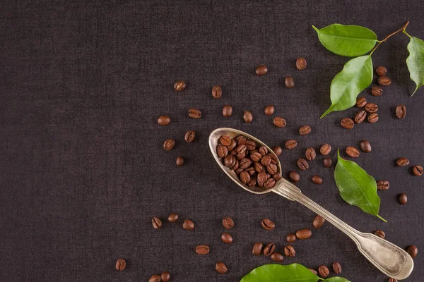 Kahve çekirdekleri ve coffea yaprakları. — Stok fotoğraf