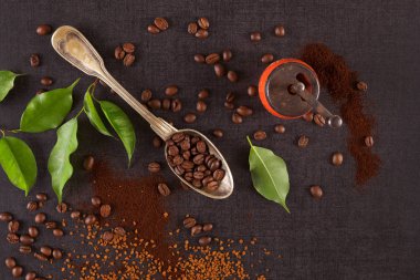 farklı türleri: kahve.