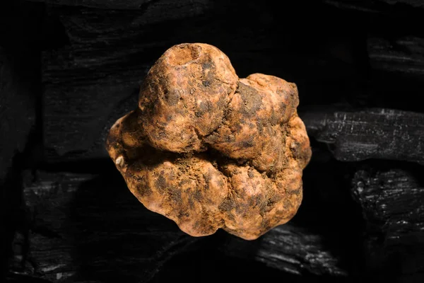 White truffle close up.