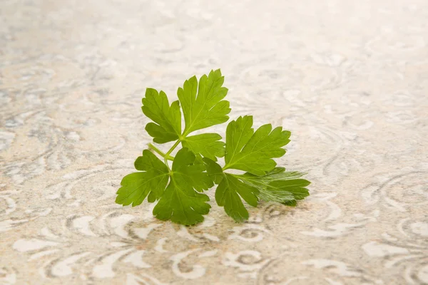 Frische Petersilienblätter. — Stockfoto