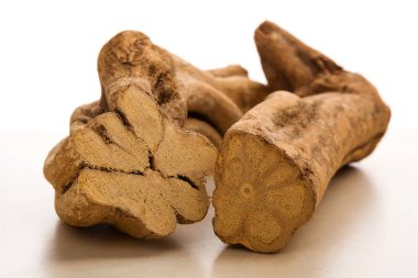 Ayahuska. Banisteriopsis caapi parçaları.