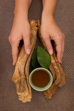Drinking ayahuasca. Banisteriopsis caapi wood, psychotria leaves and ayahuasca brew and bowl in woman hands. clipart
