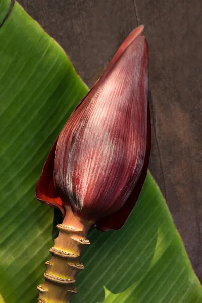 Bananblommans Gröna Blad Traditionella Hälsosamma Färska Livsmedel — Stockfoto