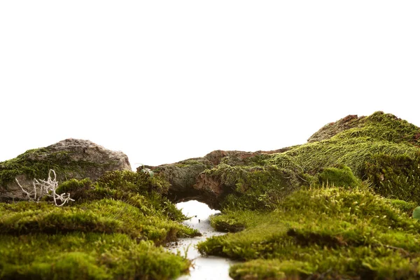 Surreal Landscape Wooly Moss White Background Beautiful Green Cliff Material — Stock Photo, Image