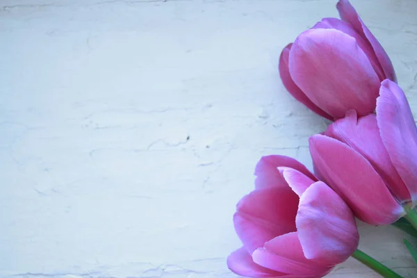 Bir buket pembe lale. Seçici odak, boşluğu kopyala.