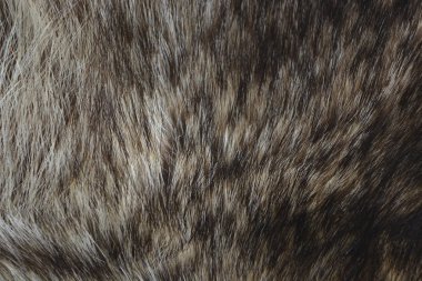 Kahverengi kürk dokusu. Yakın plan..