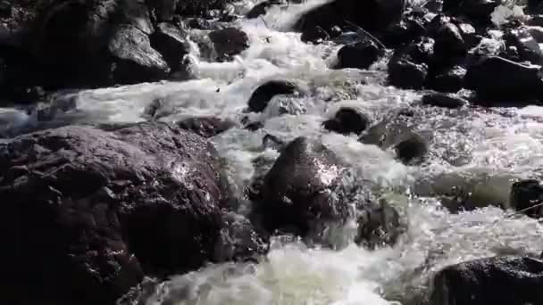 早春太阳在照耀着 山下的小河在天然的桥下水流得很快 — 图库视频影像