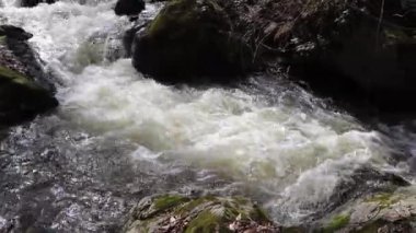 Baharın başında. Güneş zaten parlıyor. Dağ nehri hızlı akar..