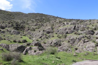 İlkbaharda, kayaların arasındaki tepede çimenler büyüdü. Çalılıklardaki yapraklar küçüktür. Yol kenarında beyaz çiçekli bitkiler var. Yakında yaz gelecek ve her şey kuruyacak..