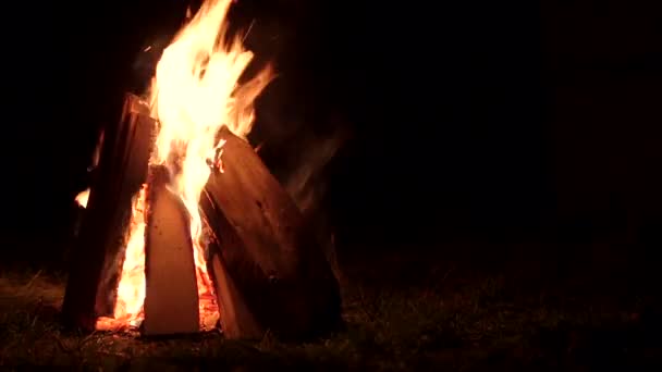 Fuego ardiendo en la noche, fogata en el calor oscuro de la noche de otoño — Vídeos de Stock