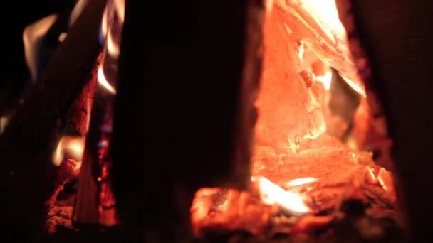 Fuego ardiente en la noche, primer plano, fogata en el calor oscuro de la noche de otoño — Vídeo de stock