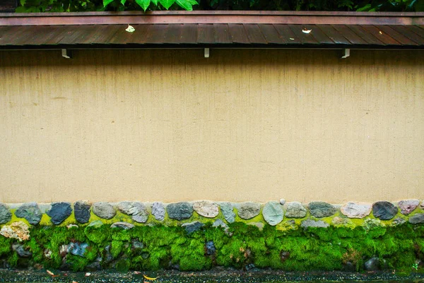 The plain wall with the stones. — Stock Photo, Image