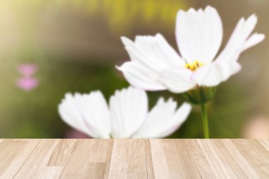 Fildişi paneli doku ve beyaz Cosmos 