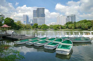 Bangkok Lumpini Park göl manzarası
