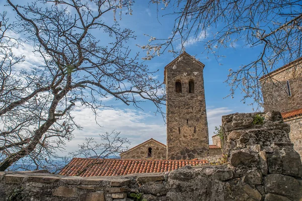 Manastır ve çiçek açan elma ağacı.