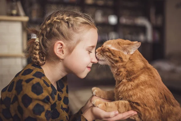 Kız ve kırmızı kedi evde oynuyorlar.