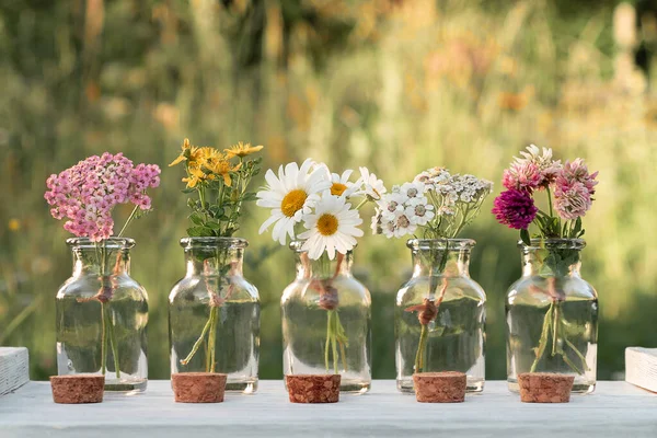 Varios frascos pequeños con hierbas medicinales florecientes, homeopatía o concepto de medicina alternativa — Foto de Stock