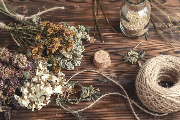 Drying and harvesting of medicinal herbs, homeopathy and alternative medicine concept — Stock Photo, Image