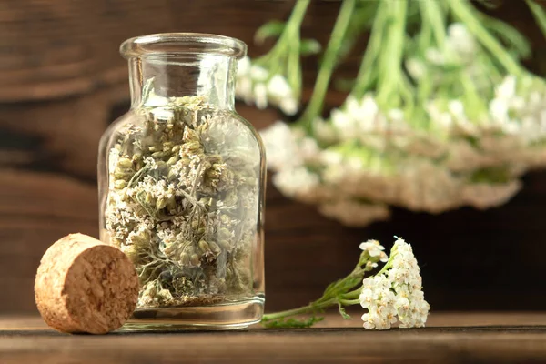 Concept of homeopathy and herbal treatment - dried achillea millefolium know as yarrow in a bottle — Stock Photo, Image