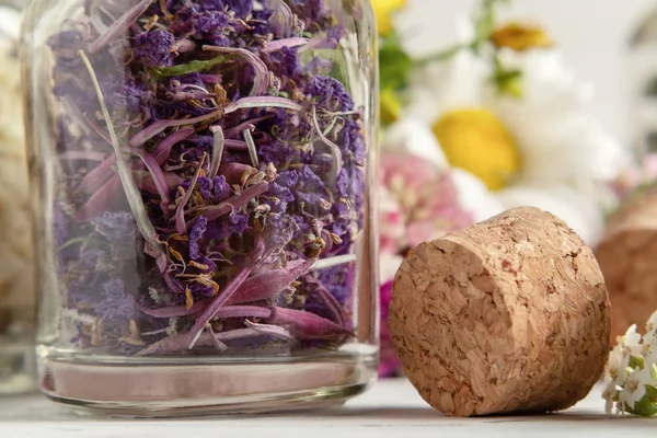 Drying and harvesting of medicinal herbs, homeopathy and alternative medicine concept — Stock Photo, Image