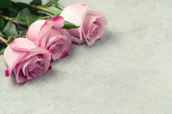 Arreglo floral - un ramo de rosas rosadas en una superficie de hormigón, plantilla para el diseño o tarjeta de felicitación, lugar para el texto, espacio de copia — Foto de Stock