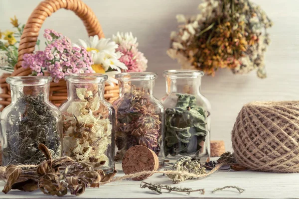 Secado y cosecha de hierbas medicinales, homeopatía y concepto de medicina alternativa Fotos De Stock