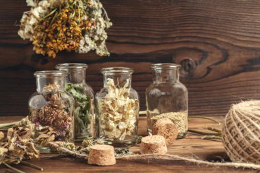 Şifalı bitkilerin kurutulması ve toplanması, homeopati ve alternatif tıp konsepti