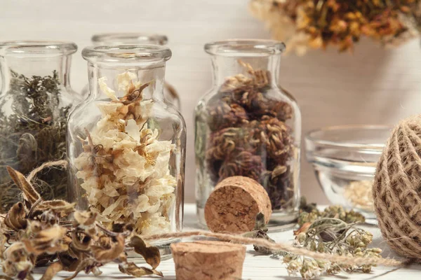 Drying and harvesting of medicinal herbs, homeopathy and alternative medicine concept — Stock Photo, Image