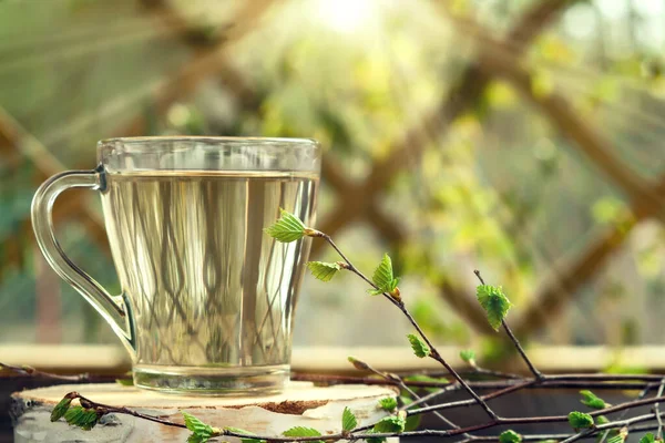 El jugo de abedul en una mesa en una taza de vidrio, junto a una rama de abedul con hojas jóvenes Imágenes De Stock Sin Royalties Gratis
