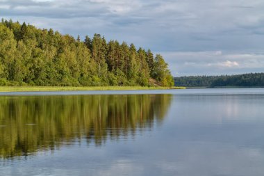 Göldeki orman durgun sulara yansıyor, huzur verici bir yaz manzarası.