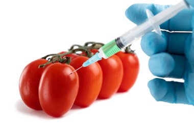 Sebze konseptinde Gmo yiyeceği ve kimyasallar. Eldivenin içinde olgun domates çözeltisi olan bir şırınga enjekte edilir.
