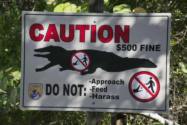 Попереджувальний знак небезпечний крокодил — стокове фото
