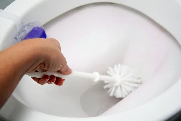 一个女人清洗刷子浴室厕所 — 图库照片
