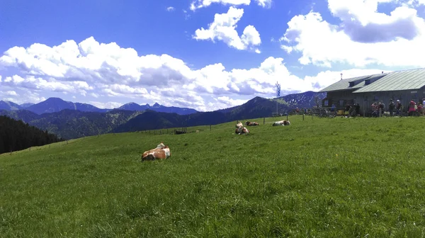 Montagnes en bavière Allemagne du Sud — Photo