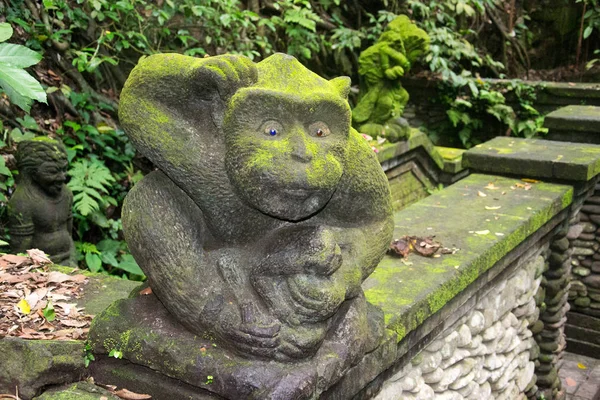 Monkey Forest Ubud Bali Indonezja — Zdjęcie stockowe