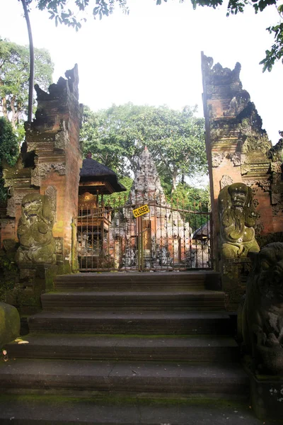 Bosque de los Monos Ubud Bali Indonesia —  Fotos de Stock