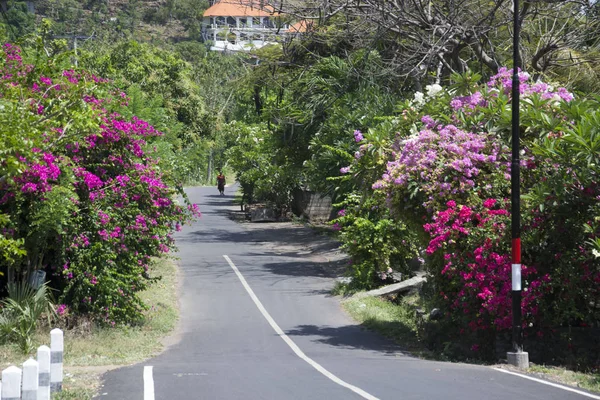 Una foto de Bali —  Fotos de Stock