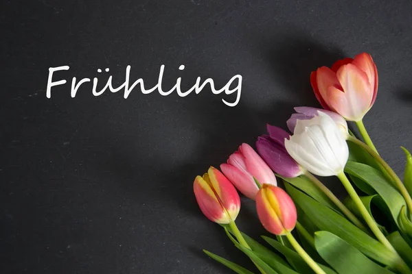 Fruehling - the german word for spring — Stock Photo, Image