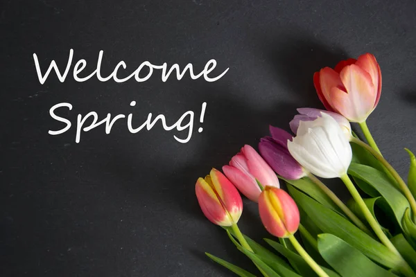 Lale ile bir renkli bahar arka plan