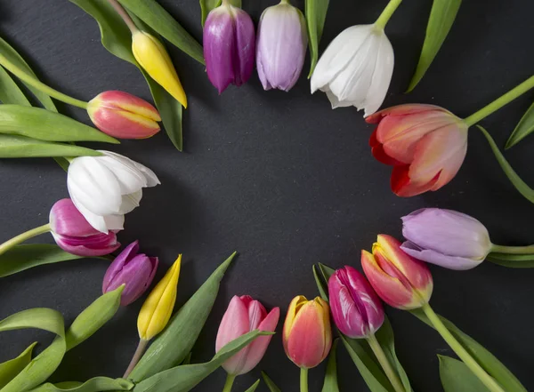 Un fondo de primavera colorido con tulipanes —  Fotos de Stock