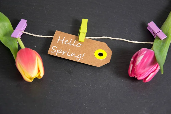 Hello Spring written on a paper tag — Stock Photo, Image