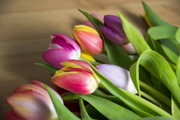 Uno sfondo colorato primavera con tulipani — Foto Stock