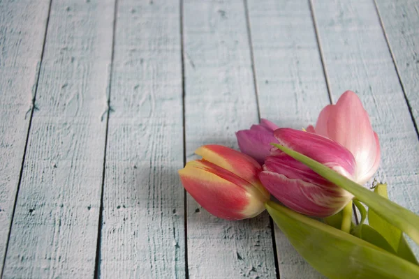 Uno sfondo colorato primavera con tulipani — Foto Stock