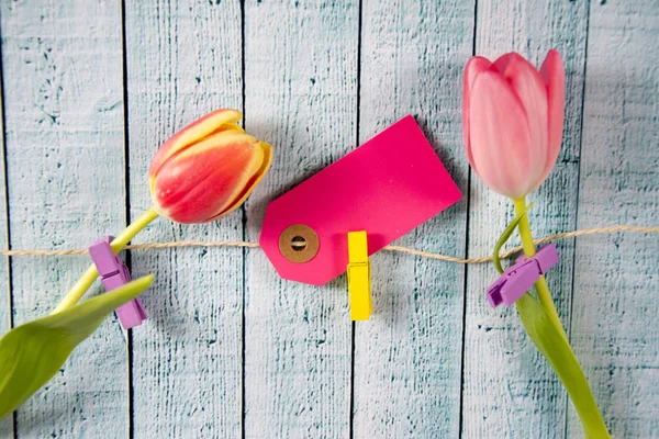 A colourful spring background with tulips — Stock Photo, Image