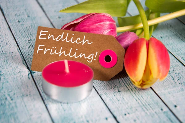 Fruehling - the german word for spring — Stock Photo, Image