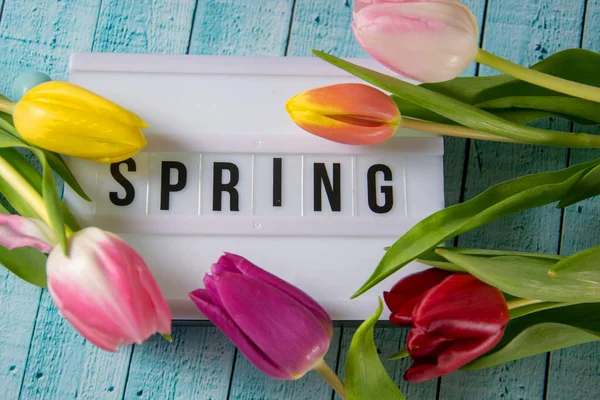 Spring written on a lightbox — Stock Photo, Image