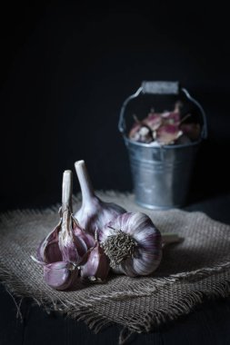 Çuval bezinde sarımsak hasadı