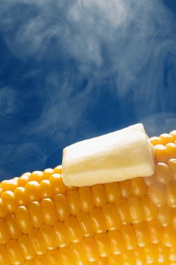Mavi arka planda erimiş tereyağlı buharlı mısır koçanı.